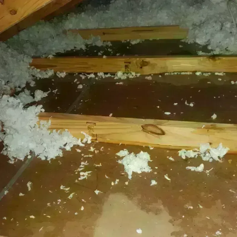 Attic Water Damage in Carpinteria, CA